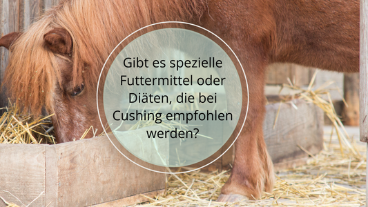 Gibt es spezielle Futtermittel oder Diäten, die bei Cushing empfohlen werden?