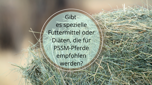 Für Pferde mit Polysaccharid-Speicher-Myopathie (PSSM) gibt es spezielle Futtermittel und Diäten, die dabei helfen können, die Symptome zu kontrollieren und das Wohlbefinden zu fördern. 