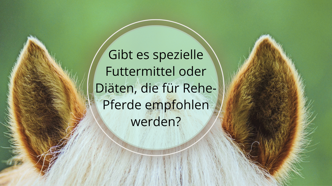 Welche Futtermittel und Diäten eignen sich für Pferde mit Hufrehe? Du kannst den Zucker- und Stärkegehalt reduzieren, qualitativ hochwertiges Heu füttern, Spezielles Futter für Hufrehe, Mineral- und Vitaminkomplexe und Probiotika unterstützend einsetzen. 