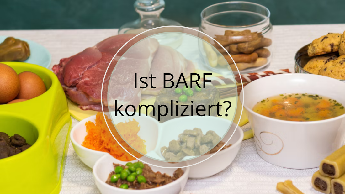 Ist BARF für Hunde kompliziert?