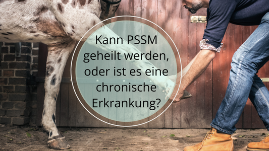 Kann PSSM geheilt werden, oder handelt es sich um eine chronische Erkrankung?