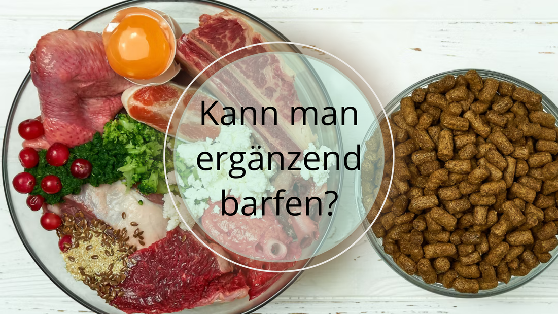 BARF als Ergänzung?