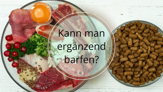 BARF als Ergänzung?