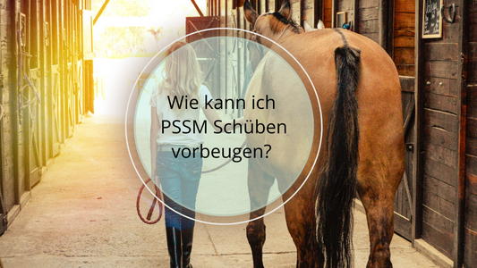 Wie kann ich PSSM Schüben vorbeugen? Ernährungsberatung, Ernährungskonzept, Therapie, Bewegung, Ärztliche Behandlung, Stressmangement und vieles mehr. 