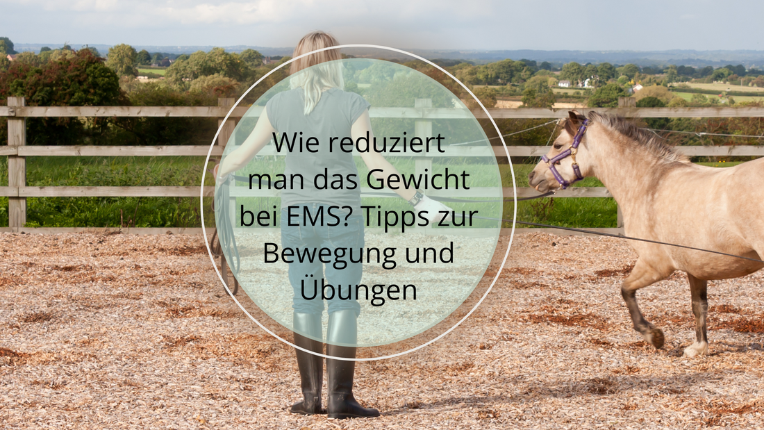 Hier erfährst du, warum eine Gewichtsreduktion so wichtig ist, warum Ernährung bei EMS eine so große Rolle spielt, wie oft dein Pferd bewegt werden sollte und welche speziellen Übungen Sinn machen. 