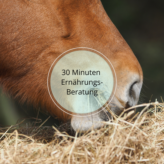 30 Minuten Ernährungsberatung